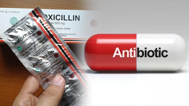 Mekanisme Kerja Antibiotik, Resistensi, Dan Pedoman Pemakaian